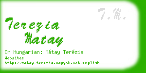 terezia matay business card